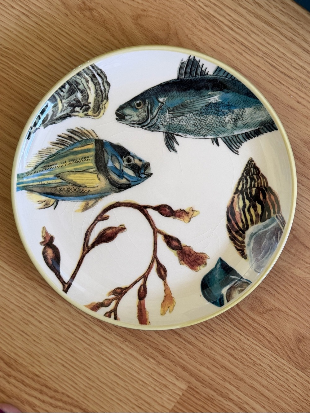 Williams Sonoma 2012 Poisson Marc Lacaze 4 fish plates + original box (Crazing) - Picture 8 of 15